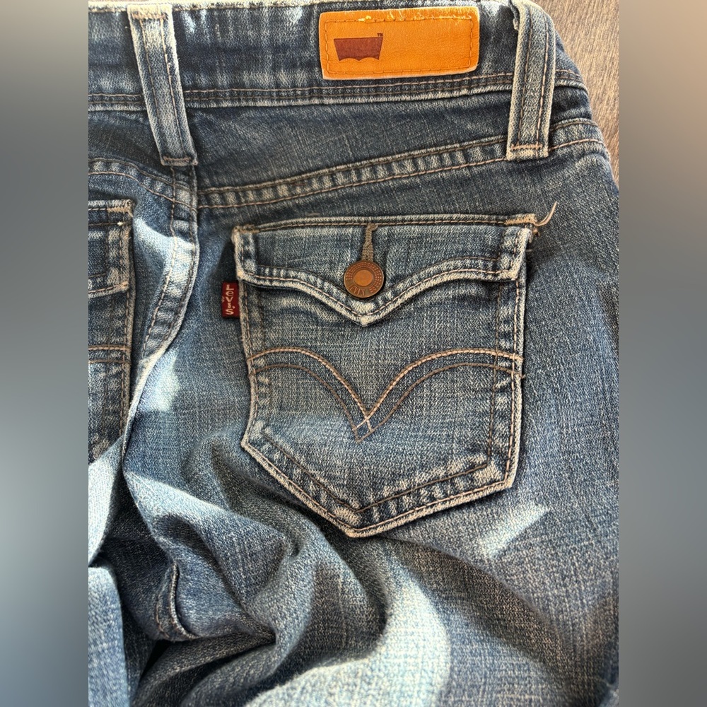 Levi size 3 bold curve